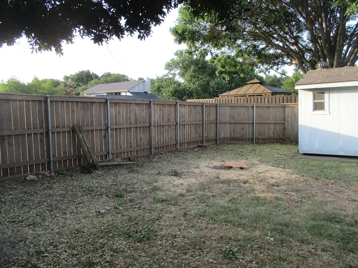Cleared yard after professional tree removal in Cardiff By The Sea